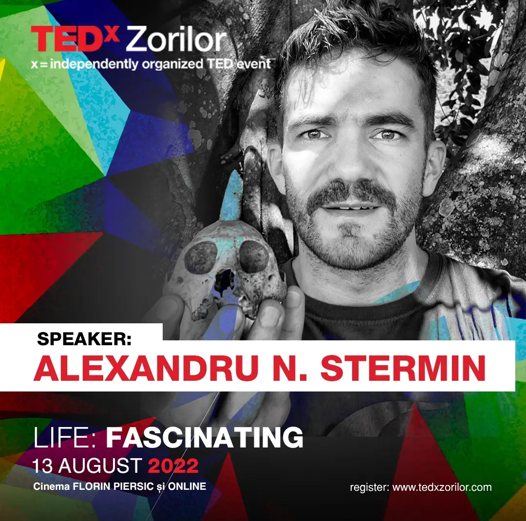 Alexandru N. Stermin